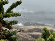 Acadia National Park