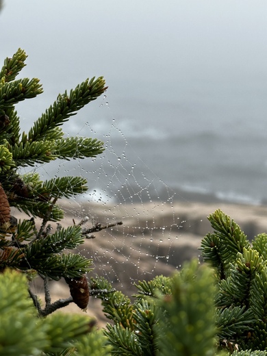 Acadia National Park