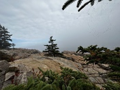 Acadia National Park 