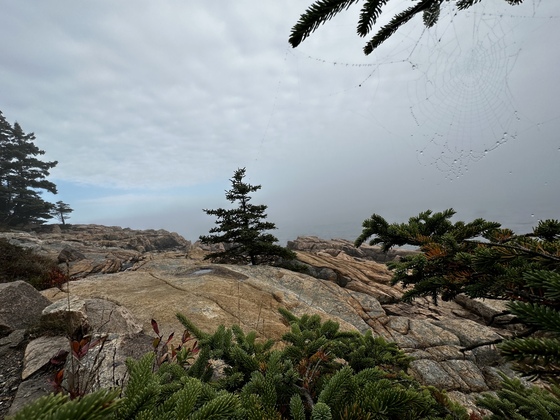 Acadia National Park 