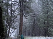 Yosemite National Park 
