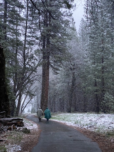 Yosemite National Park 
