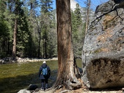 Yosemite National Park