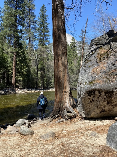 Yosemite National Park