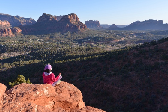Coconino National Forest