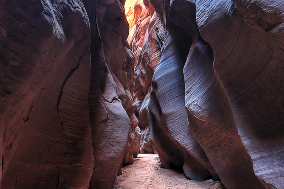 Paria Canyon-Vermilion Cliffs Wilderness
