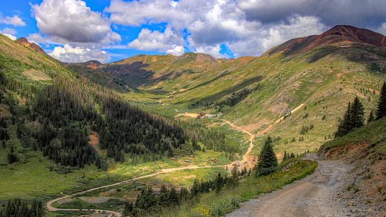 Uncompahgre National Forest