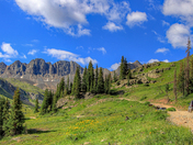 Uncompahgre National Forest