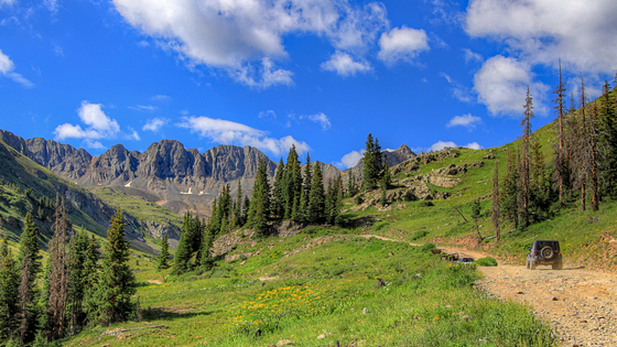 Uncompahgre National Forest