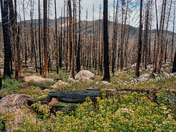 Rocky Mountain National Park 