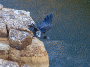 Lee's Ferry, Marble Canyon, Glen Canyon National Recreation Area