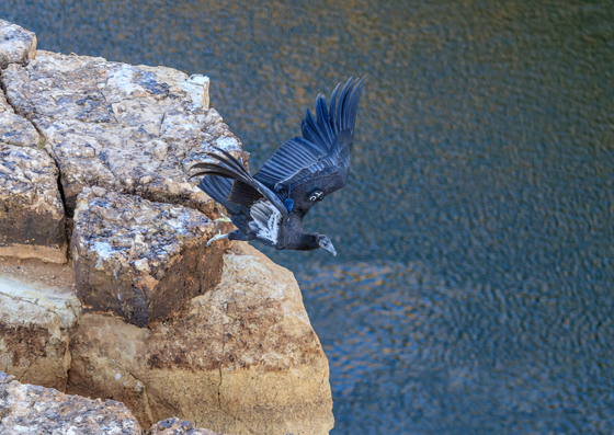 Lee's Ferry, Marble Canyon, Glen Canyon National Recreation Area