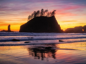 Olympic National Park