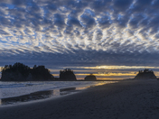 Olympic National Park