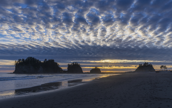 Olympic National Park