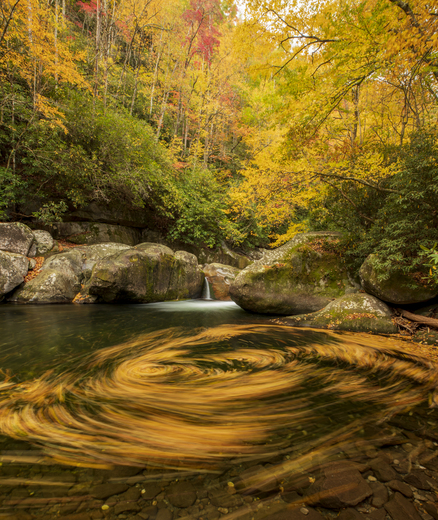 Great Smoky Mountain