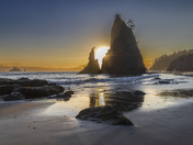 Olympic National Park