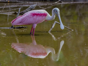 Everglades National Park