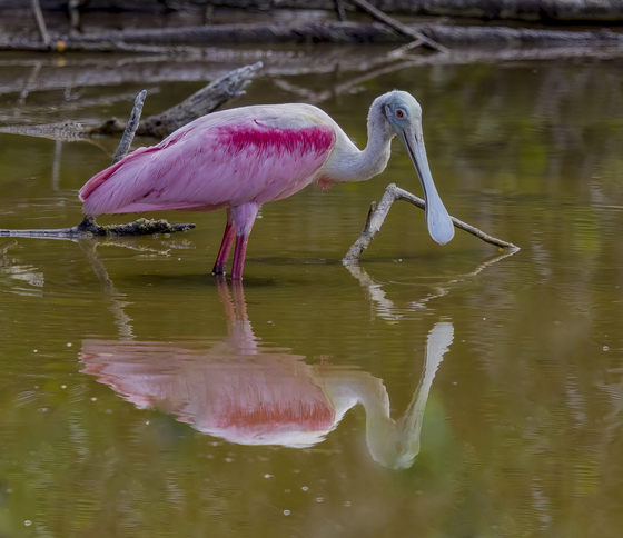 Everglades National Park