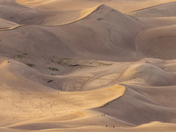 Sand Dunes National Park