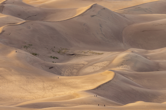 Sand Dunes National Park
