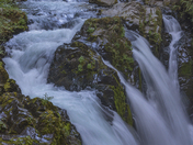 Olympic National Park