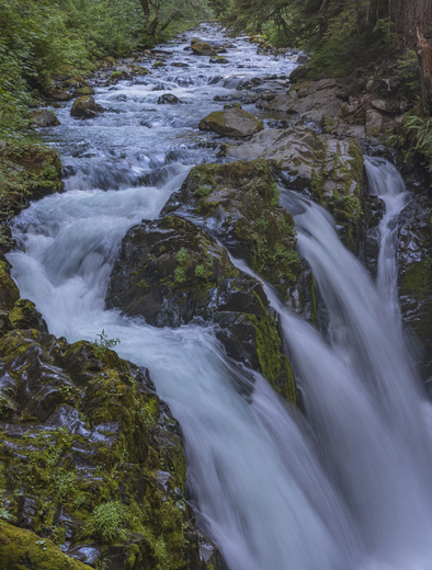 Olympic National Park