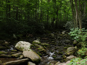 Great Smoky Mountains National Park