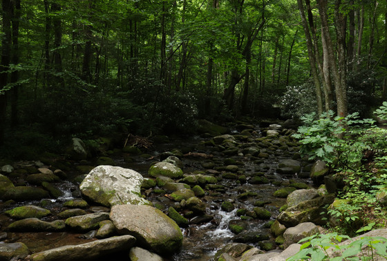Great Smoky Mountains National Park