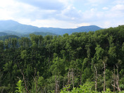 Great Smoky Mountains National Park