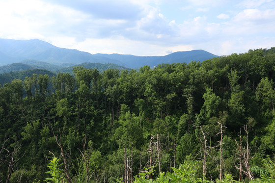 Great Smoky Mountains National Park