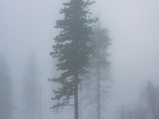 Yosemite national park