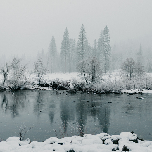 Yosemite National Park