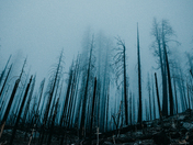Yosemite National Park