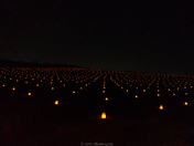 Antietam Battlefield