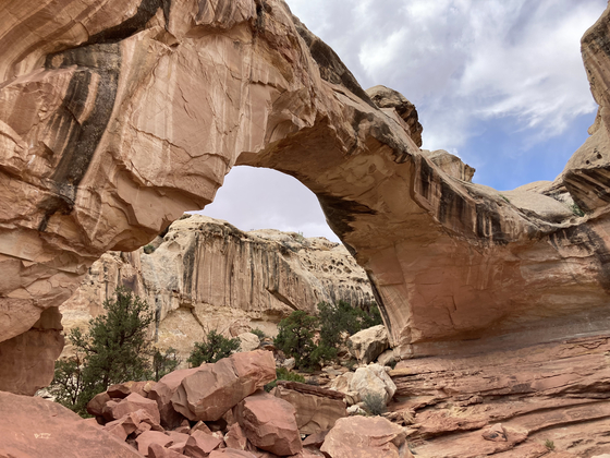 Capitol Reef National Park
