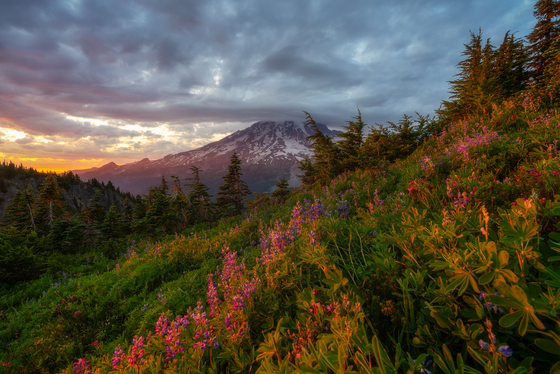 Mount Rainier National Park