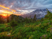 Mount Rainier National Park