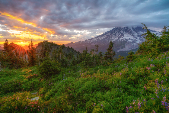 Mount Rainier National Park