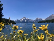 Grand Teton National Park
