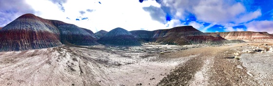 Petrified Forest National Park