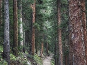 San Juan National Forest