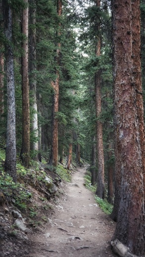 San Juan National Forest