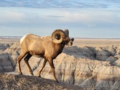 Badlands National Park
