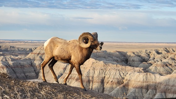 Badlands National Park
