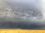 Comanche National Grassland