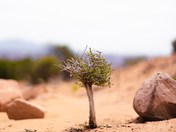 Canyonlands National Park