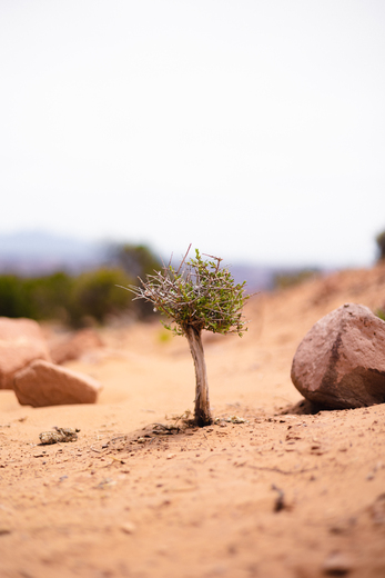 Canyonlands National Park