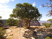 Grand Canyon National Park