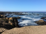 Fort Bragg